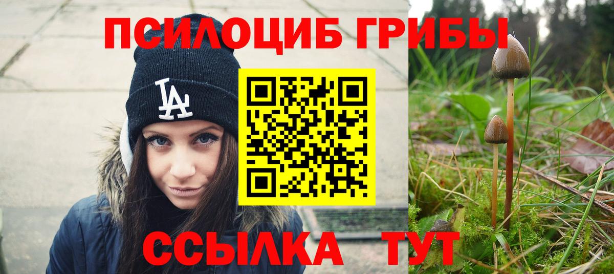 Шарыпово  Псилоцибиновые грибы Cubensis  купить наркоту  Вход с VPN  Псилоцибиновые грибы мицелий 